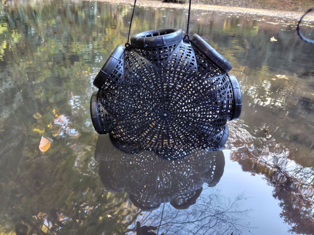 実験91日目の様子7