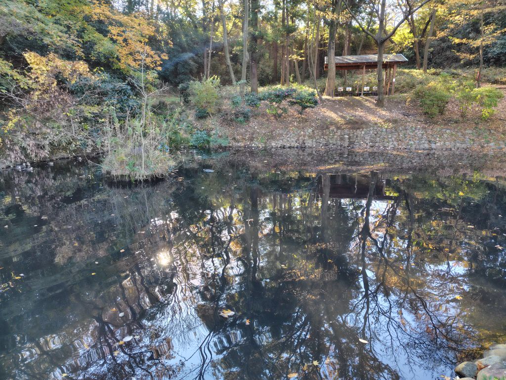 実験98日目の様子1