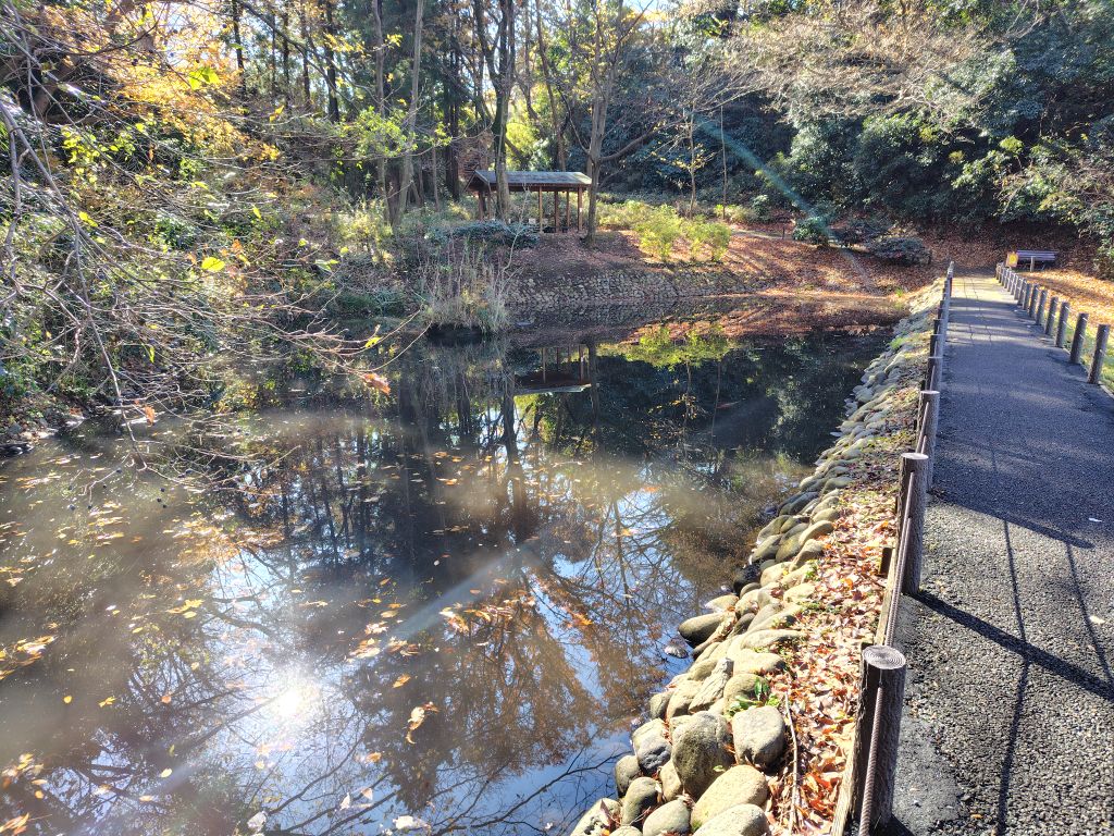 実験105日目の様子1