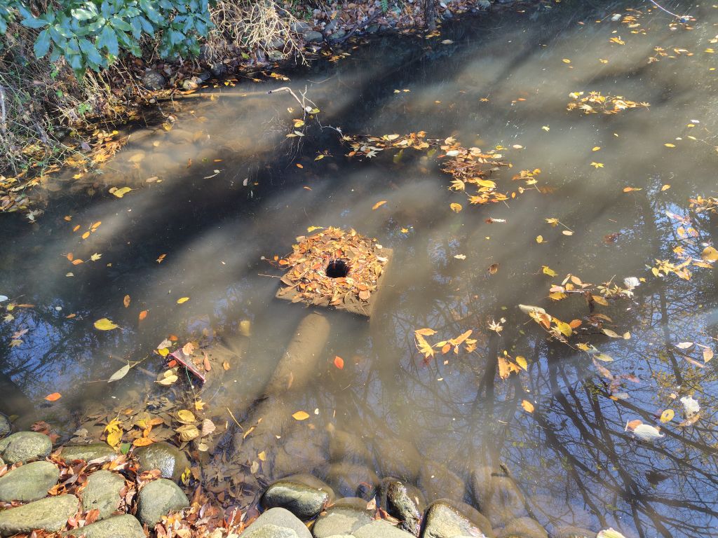 実験105日目の様子4