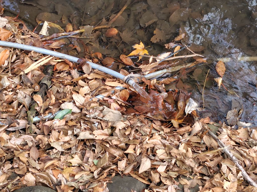 実験108日目の様子1