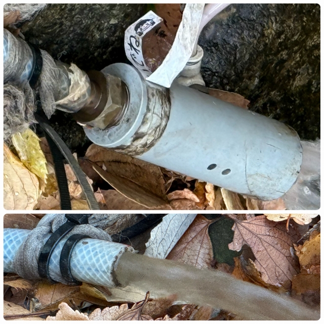 実験108日目の様子2