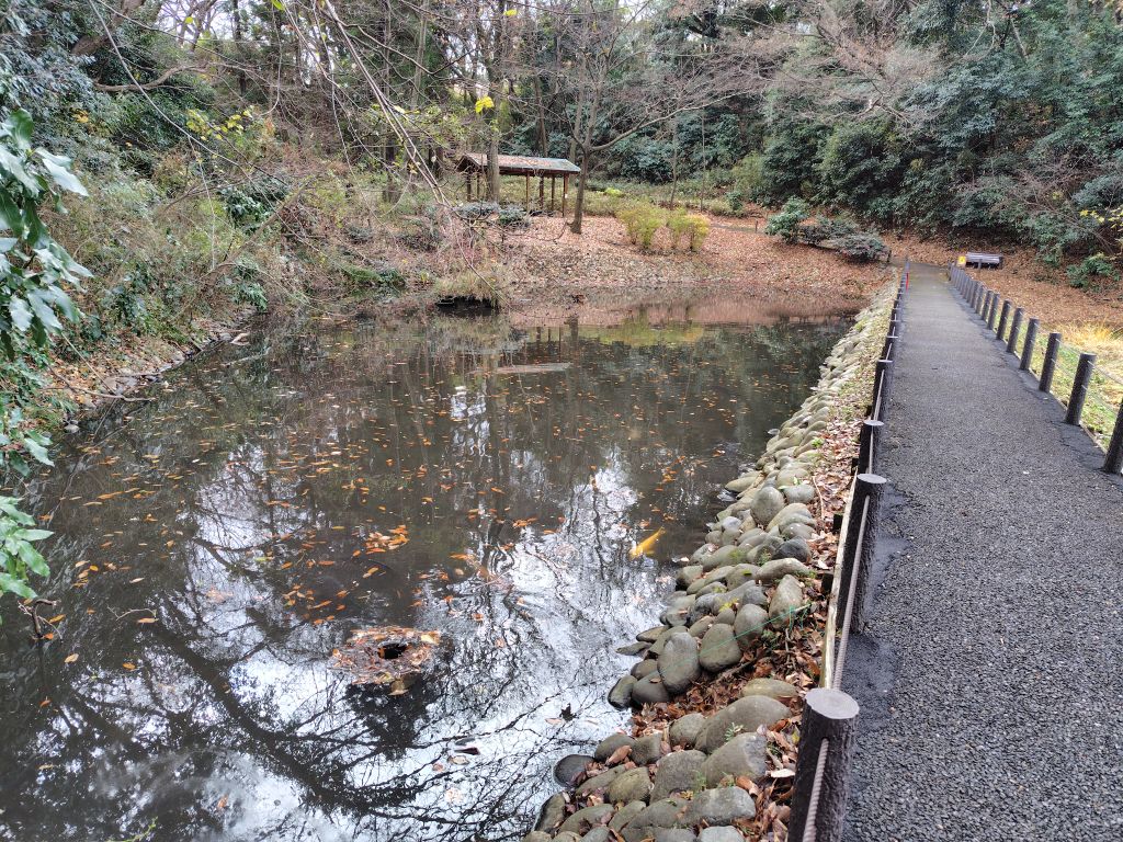 実験112日目の様子1