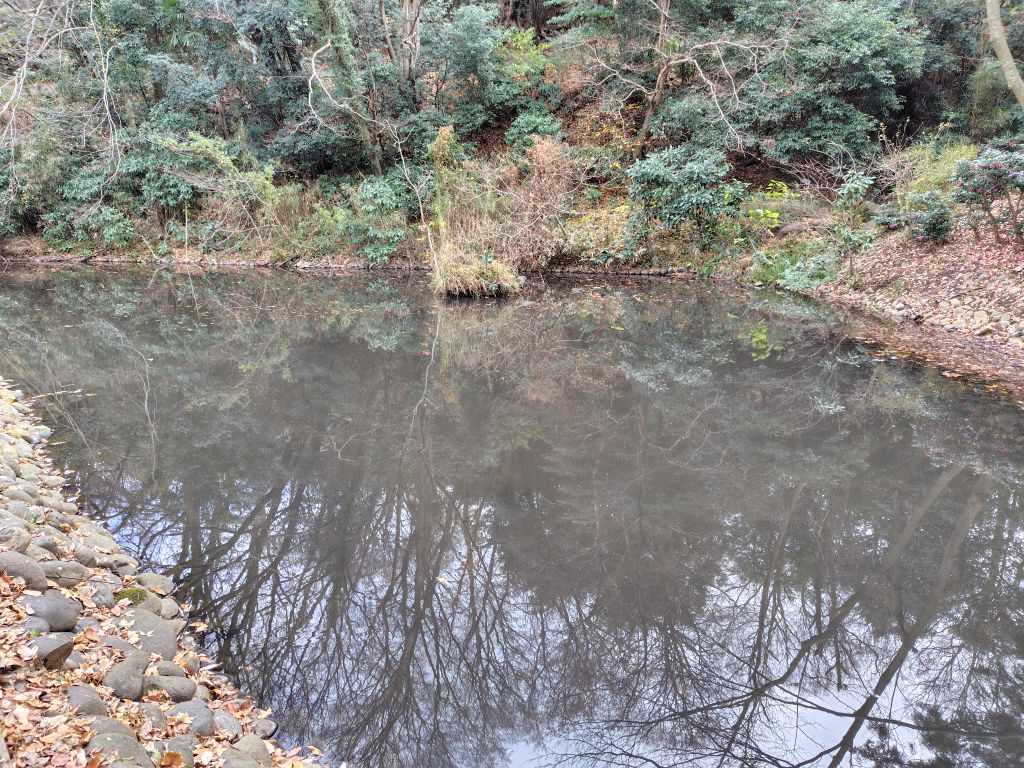 実験112日目の様子2