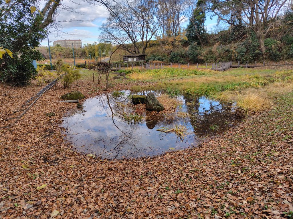 実験112日目の様子5