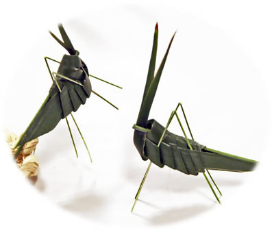 シュロの葉でつくるバッタ