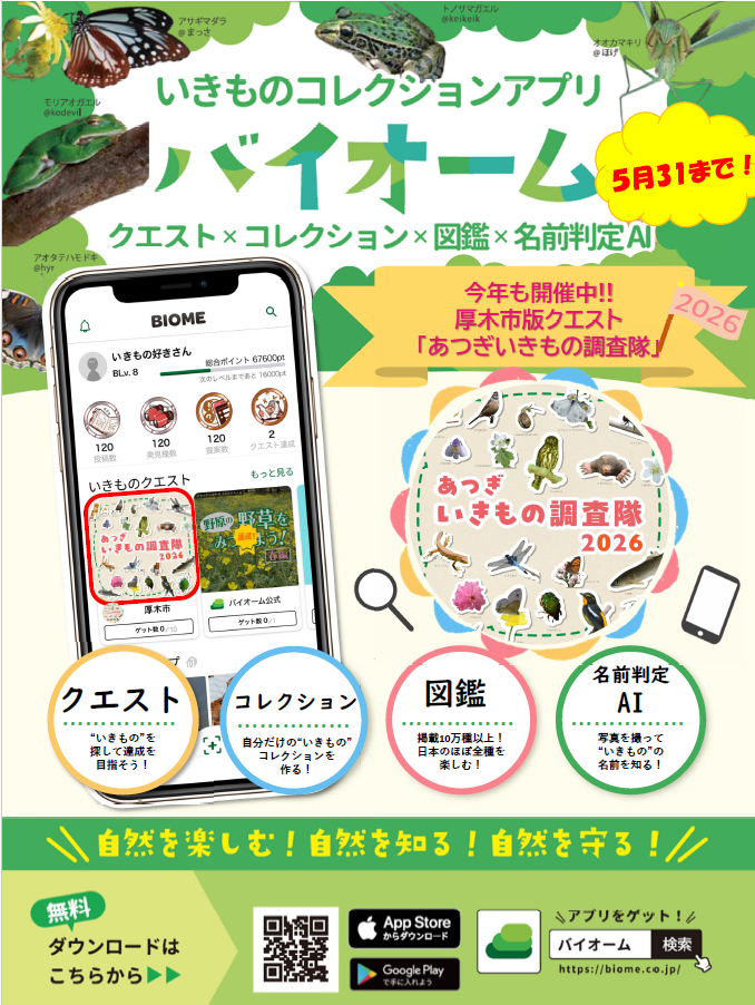 あつぎいきもの調査隊2026チラシ