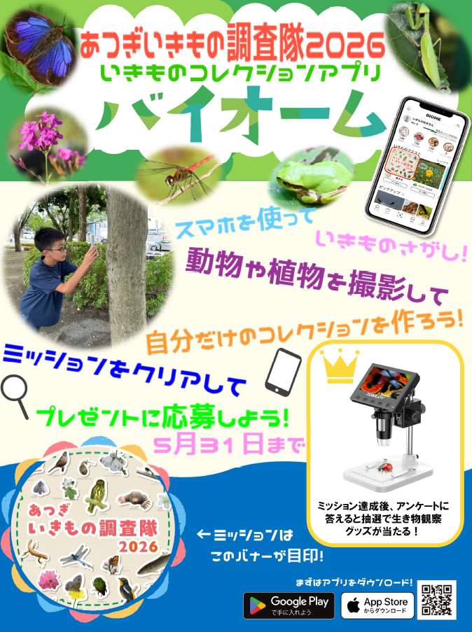 あつぎいきもの調査隊2026チラシ（小学校用）