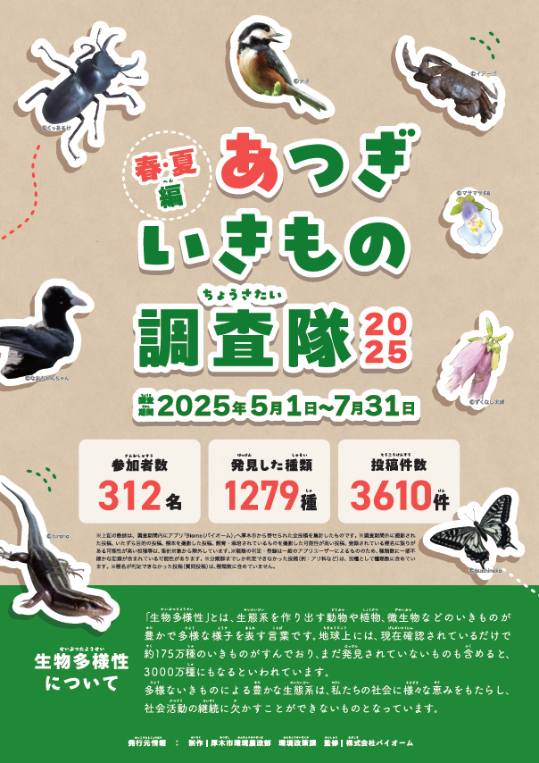 あつぎのいきもの調査隊2025調査結果