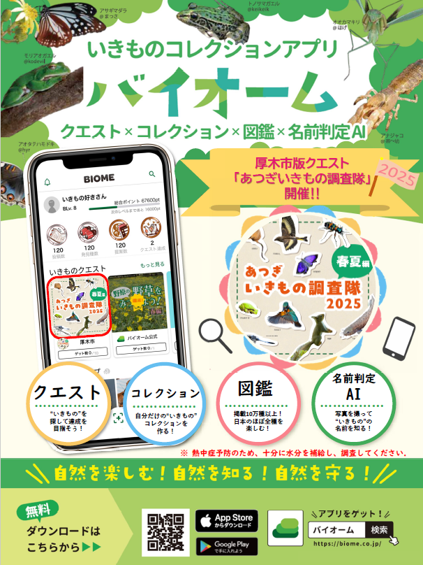 あつぎいきもの調査隊2025