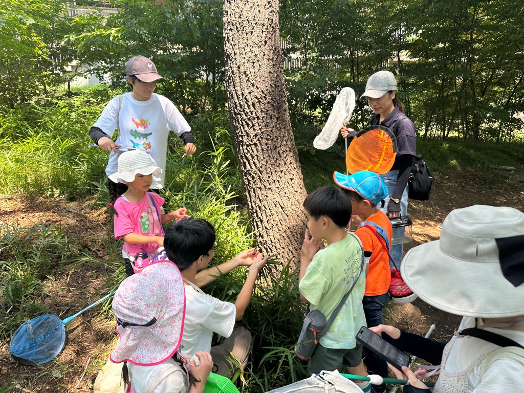 捕まえた虫を農大生がケースに入れてくれる様子