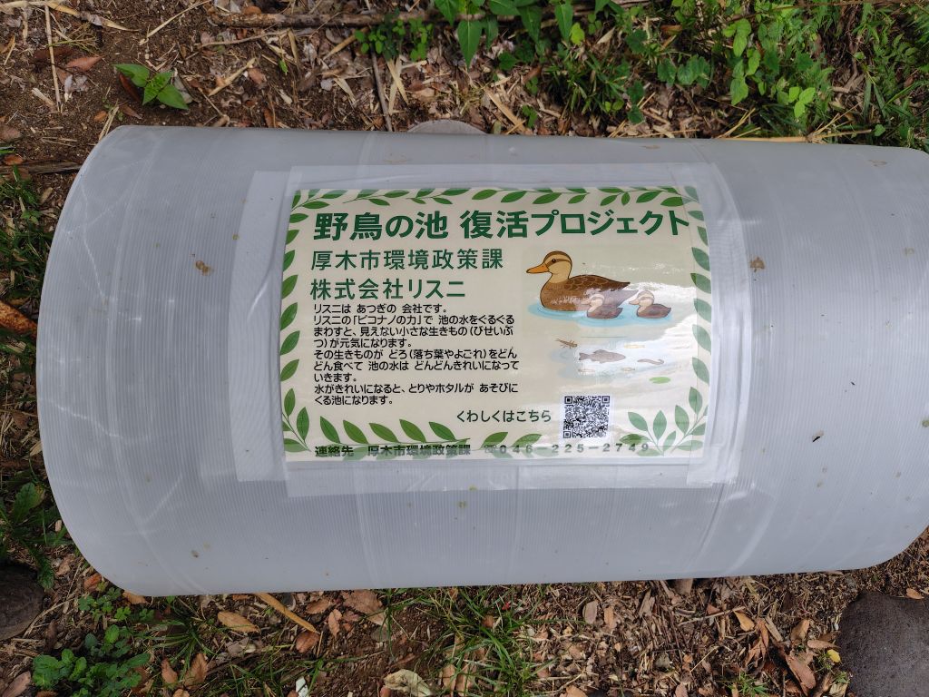 28日目の様子2