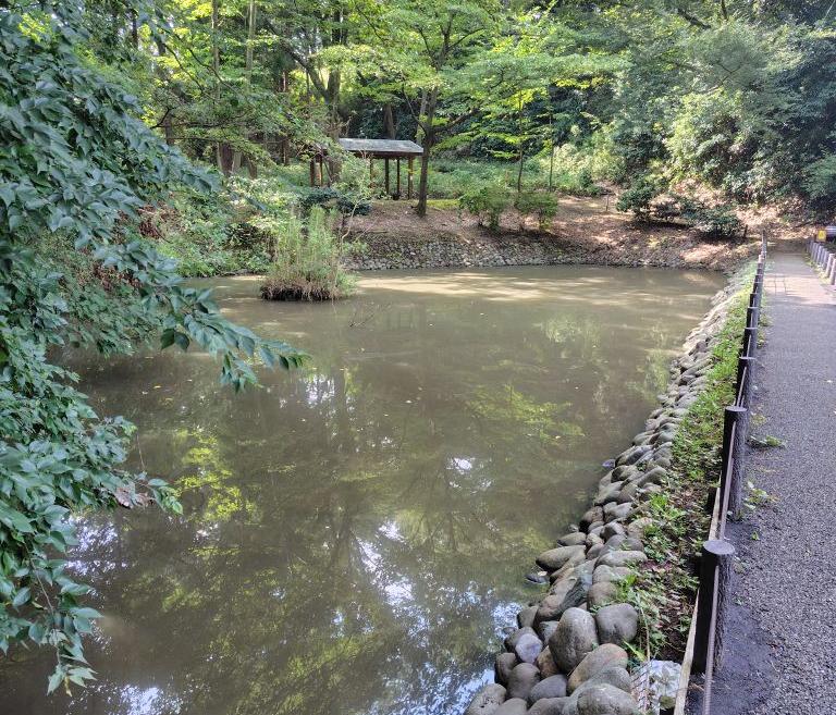 実験15日目