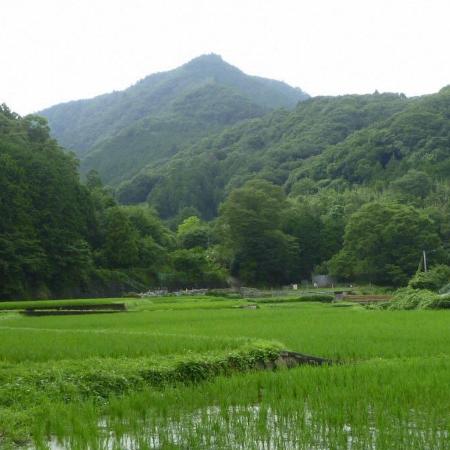 里地里山の緑豊かな風景写真