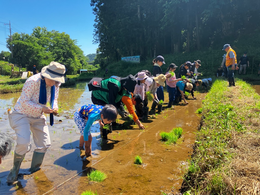 荻野三つ沢棚田での田植え