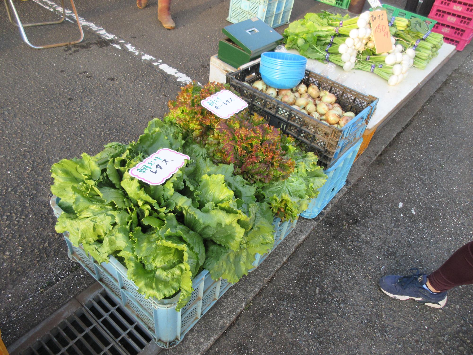 青色のかごにレタスが入っている写真