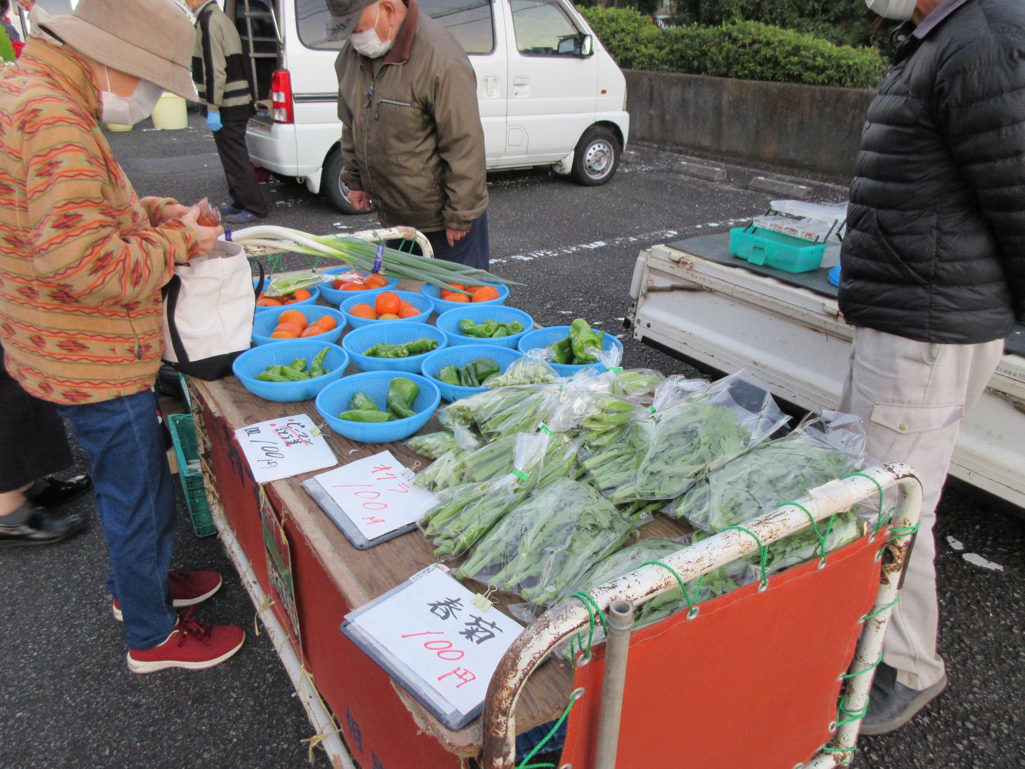 テーブルに並べられた野菜の写真