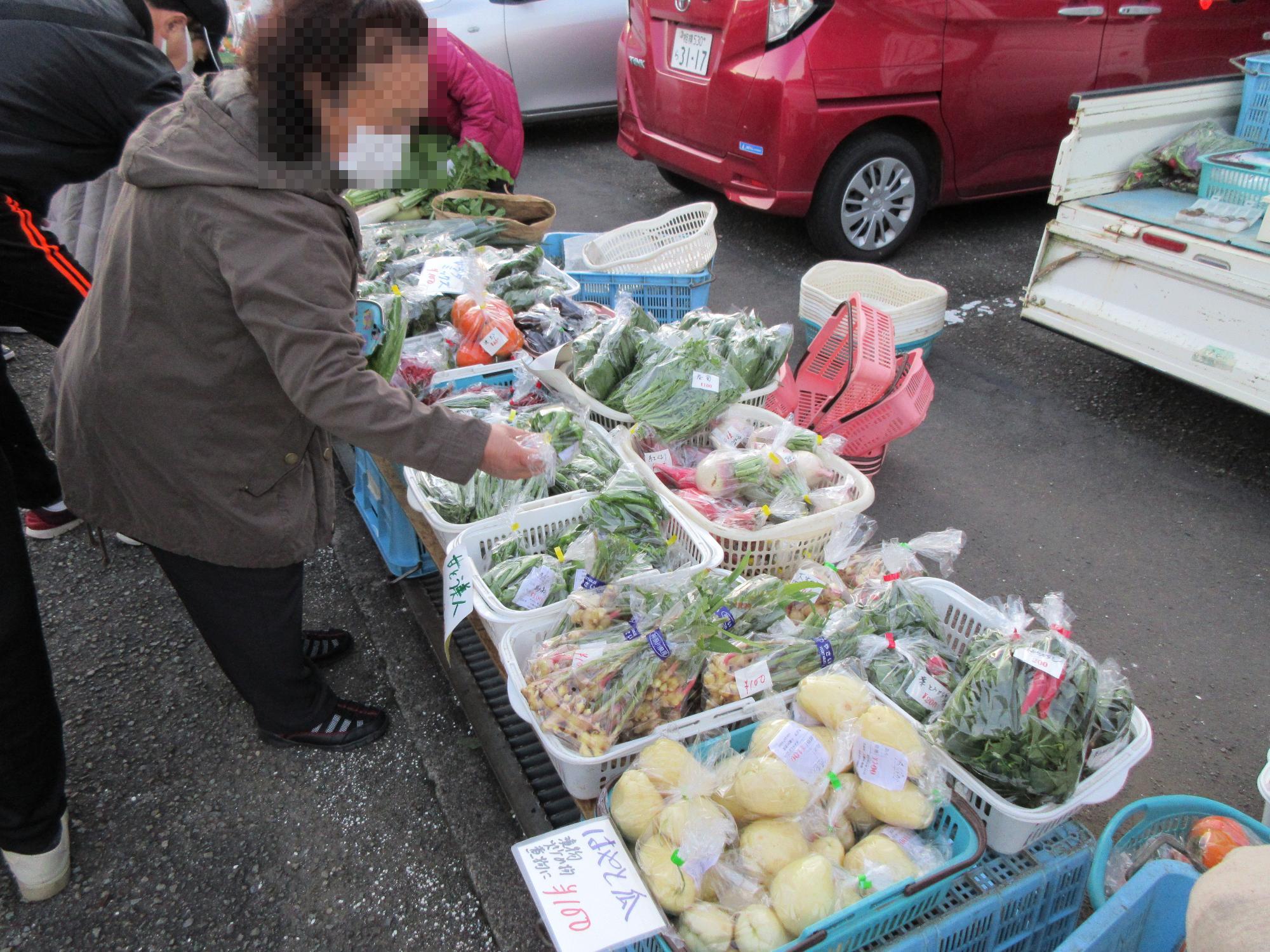 かごの中に入っている野菜が並べられている写真