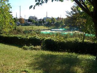 背の低い木々の奥に見える宮の里調整池の写真