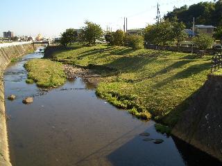 左側に恩曽川が流れており川のすぐ右側には緑の草が生えた川原が広がっている写真