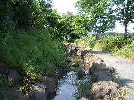 両側が石で整備された小川が中央にあり、左側には木々が生え、右側には小道がある写真