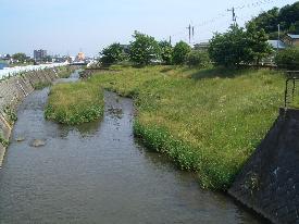中央に川が流れており川の左側はコンクリートで整備され、右側は草が生えた低い土手がある写真