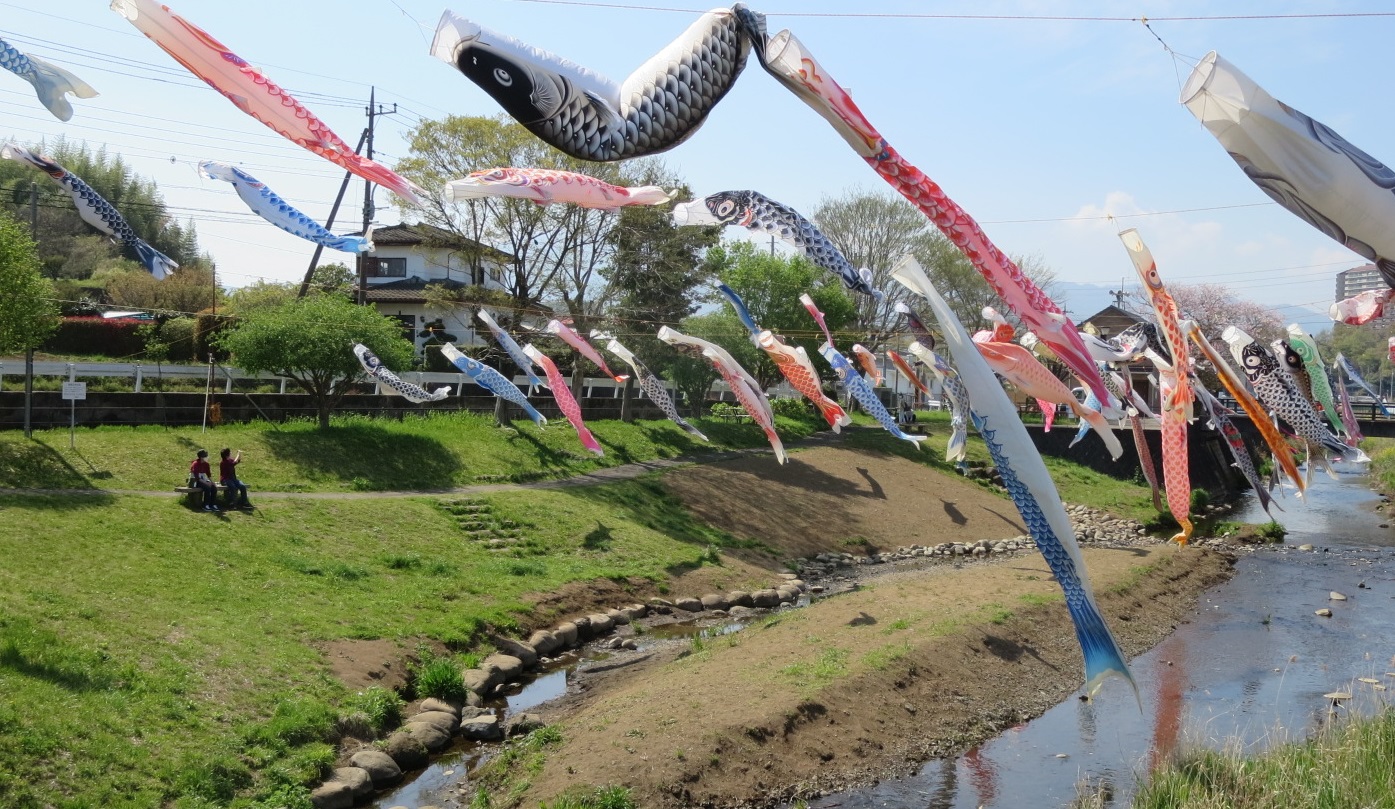 地蔵橋親水広場で泳ぐこいのぼり