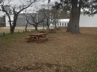 園内に植えられている大きな木の下に、4つのテーブル付きのベンチが設置されている写真