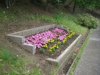 山の斜面にブロックで枠を作った花壇にピンクや黄色の花が咲いている写真