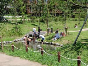 石で囲まれた池の中に、小さな子供たちが入って遊んでいる水辺ふれあい広場の写真