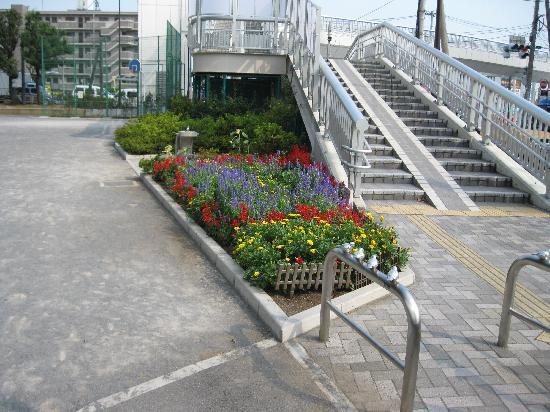 歩道橋の階段の下に公園があり、階段の左下には水飲み場や植木や花が咲いている花壇の写真