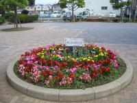 公園の中央に丸い形の花壇があり、赤やピンク、黄色などの花が植えていある写真