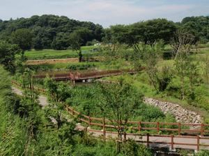 周囲に沢山の樹木が植えられていて、緑豊かな園内を散策できる遊歩道もあり、中央の溜池には遊歩道から渡れる橋が設置されている写真