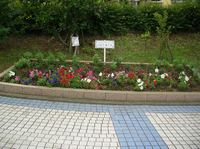 紫色や赤色や白色の花が花壇に植えられ、花の名前が書かれたフラワーラベルがある花壇の写真