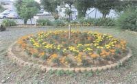 円の形にレンガで造られた花壇に黄色やオレンジ色などの色鮮やかな花が植えられている写真