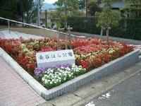 公園に上がる階段の横に長谷はら公園と書かれた石碑と2本の樹木、その周りに赤色や白色、ピンク色などの色とりどりの花が咲いている花壇の写真