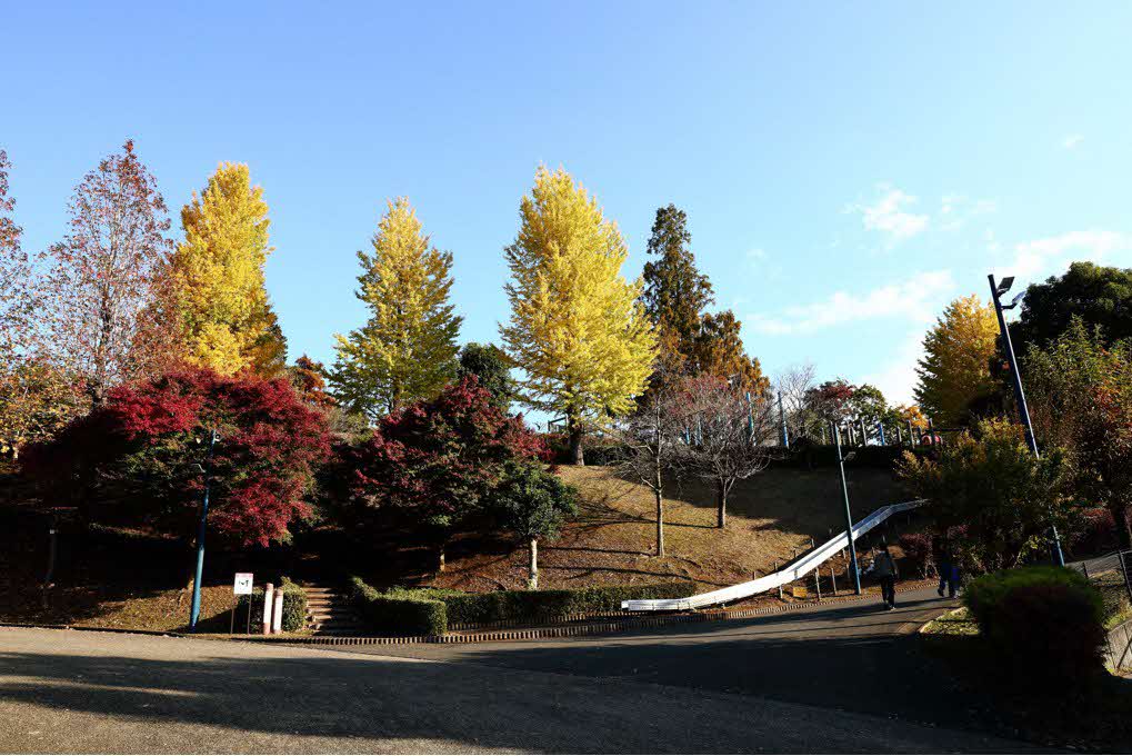 大きな滑り台と紅葉が一緒に撮影されている様子