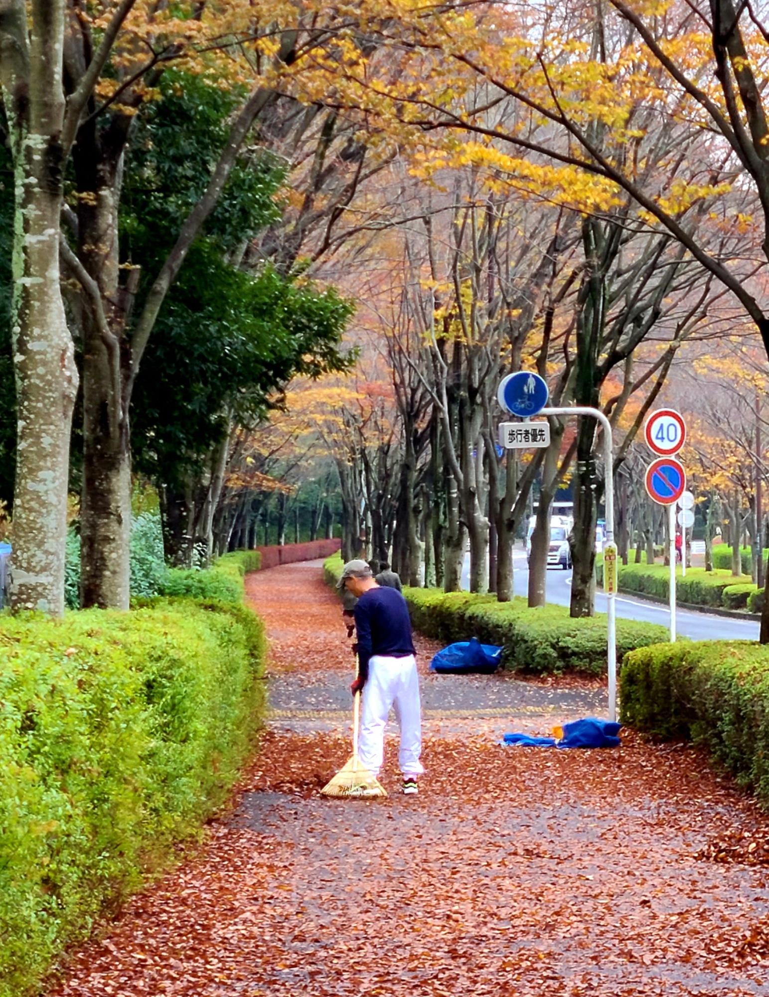 森の里道路わきの紅葉した並木道を赤く染める落ち葉とその葉を掃く人