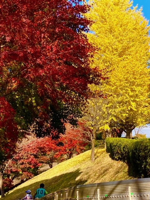 ぼうさいの丘公園の滑り台で遊ぶ子供たちと後ろに見える紅葉