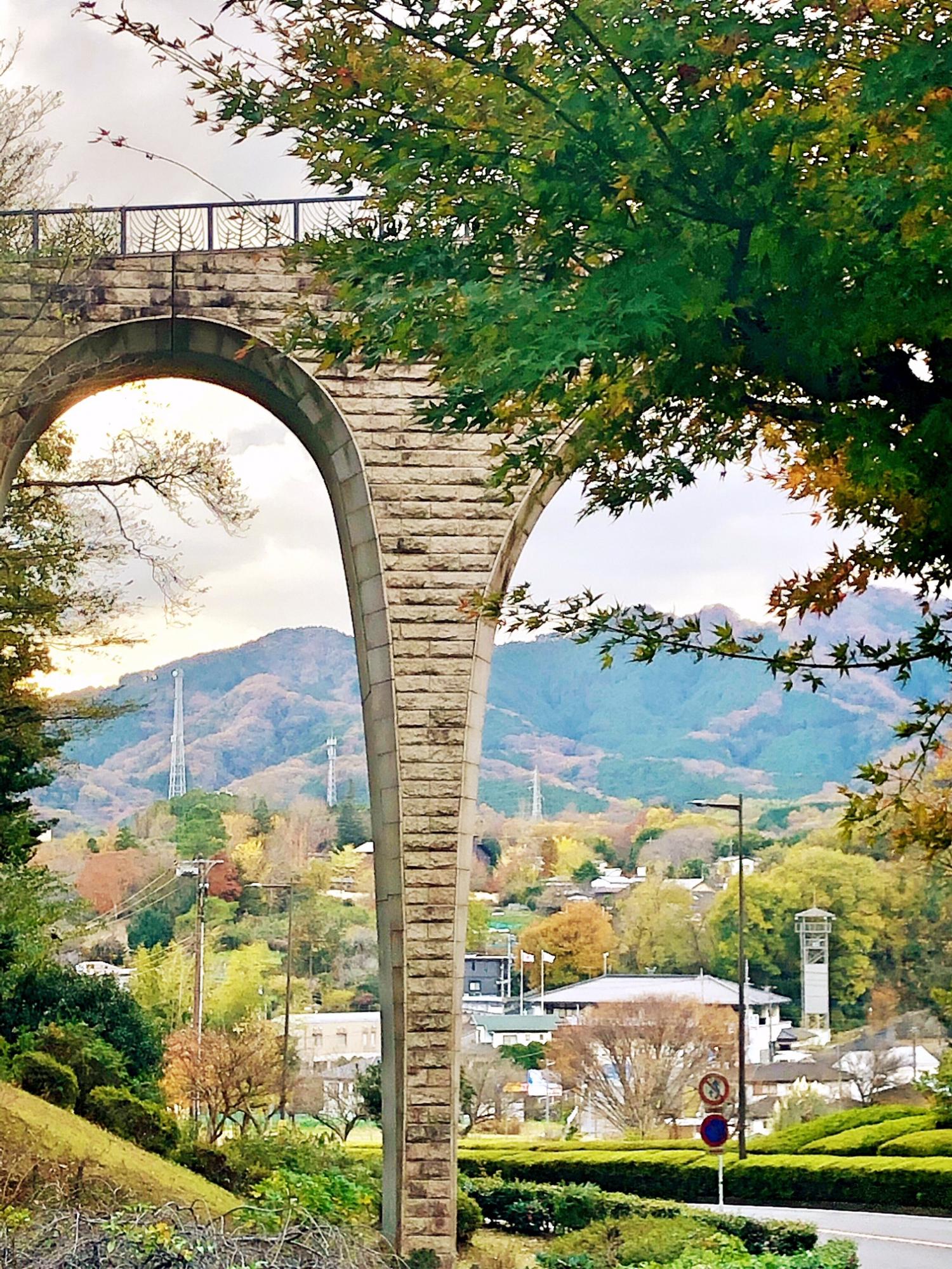 七沢森林公園で撮影された橋の向こうに広がる秋の風景