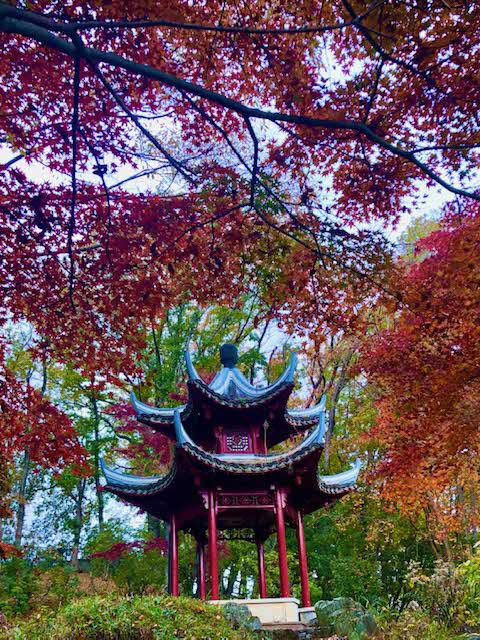 赤く染まった紅葉が画面を囲んで額縁の様になっており、その真ん中に中国式の建物がある