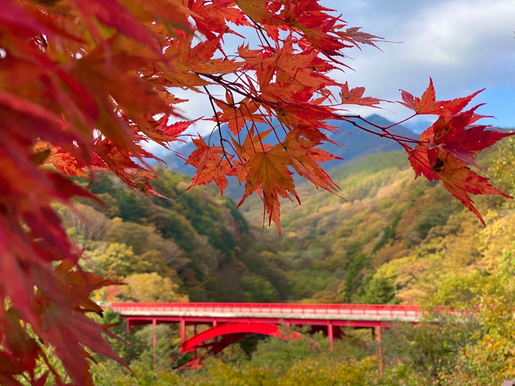 紅葉から垣間見える赤い橋
