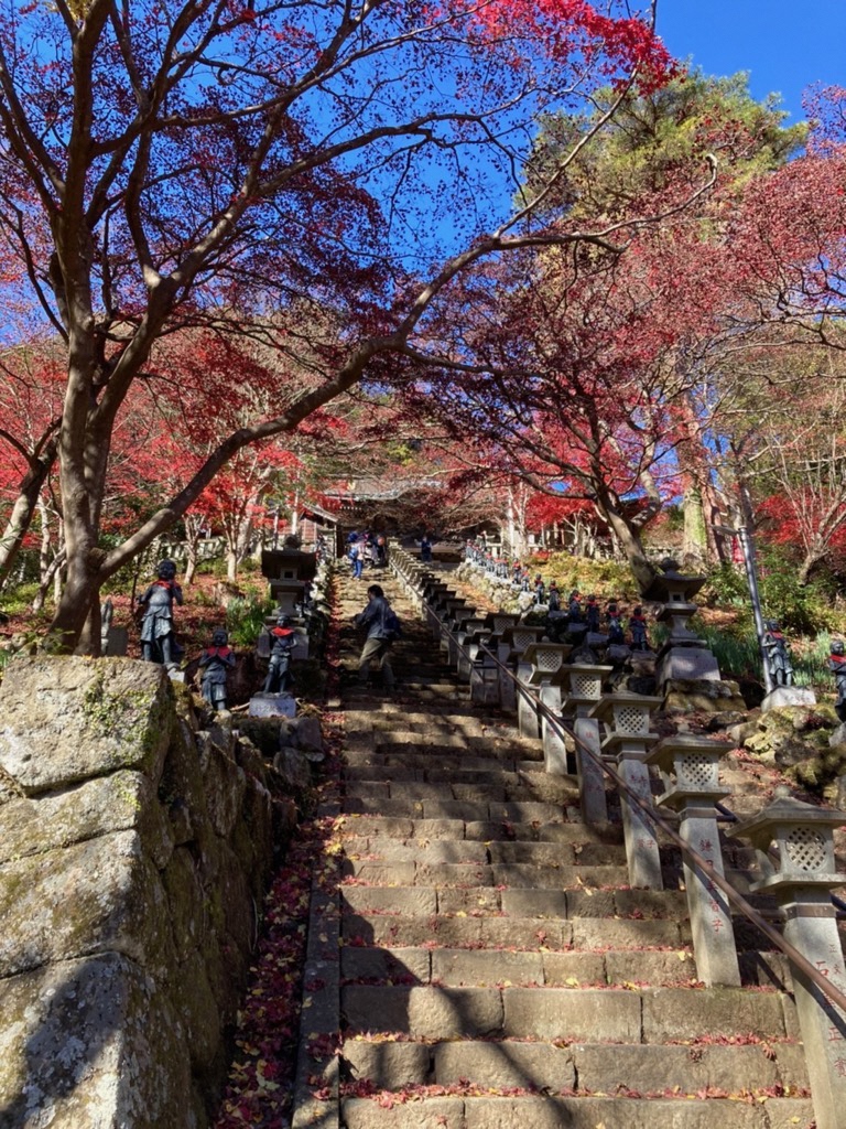 神社へと続く階段の両端に立ち並ぶ赤く紅葉したもみじの木