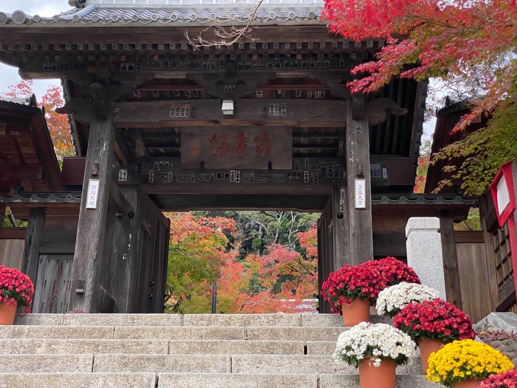 お寺への階段の脇に並べられた赤白黄色の花