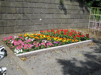 スプリング遊具の隣に、赤やピンク、オレンジなどのカラフルな色の花が植えてある花壇の写真