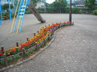園内のすべり台の近くにある街灯からS字に細長く造られた花壇に、赤や紫、オレンジ色のカラフルな色の花が植えてある写真
