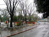 低い柵で覆われている園内には樹木が点在し、すべり台などの遊具が設置されている岡田北矢公園を道路から撮影した写真