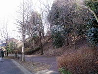 奥の小高い丘には樹木が植えられており、丘の中央には階段が設置されているかぜの子公園の写真