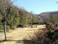 小高い山の麓にある園内は樹木が点在しており、中央にはテーブル付きのベンチや街灯が設置されている小町公園の写真