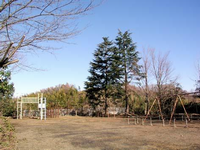 園内奥には2本の大きな木が立ち周辺にも樹木が点在しており、木の前に鉄棒、右側にはシーソーやブランコなどの遊具が設置されている、おかつこく公園の写真